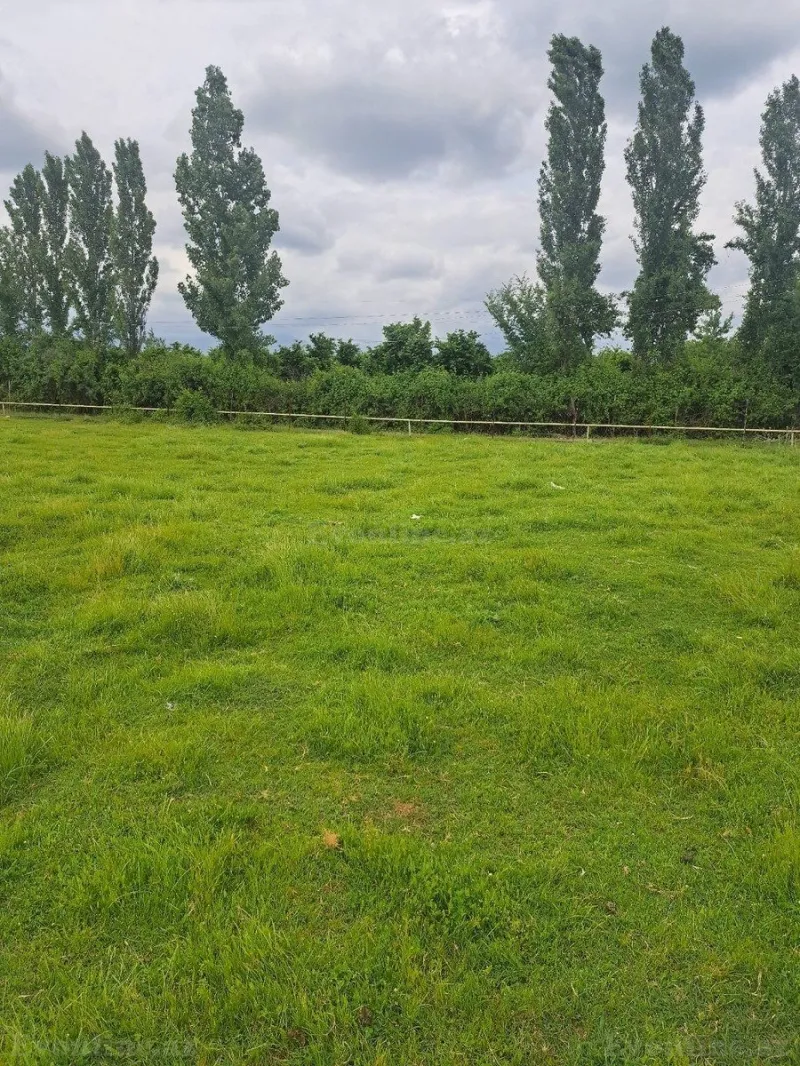 Satılır Torpaq 71 sot Qəbələ