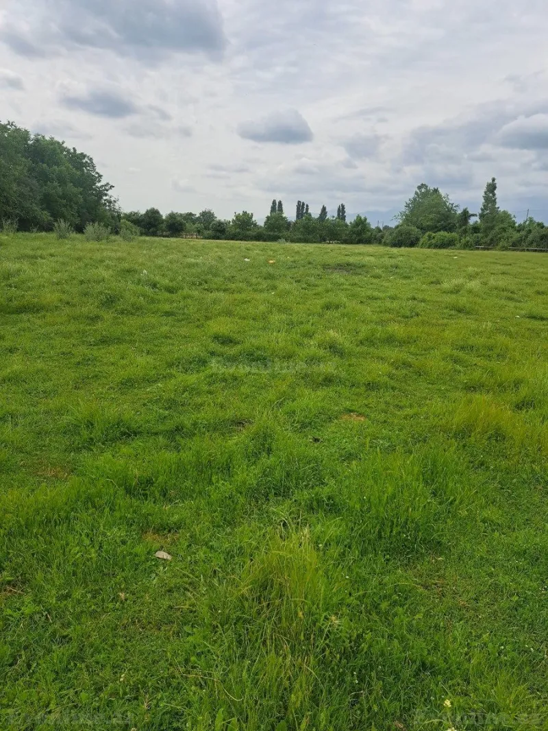 Satılır Torpaq 71 sot Qəbələ - şəkil 2