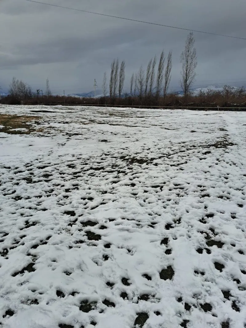 Satılır Torpaq 71 sot Qəbələ - şəkil 3