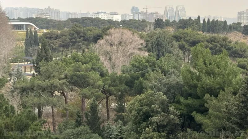 Satılır 3 otaqlı Mənzil Yeni tikili 152 m² Badamdar - şəkil 9