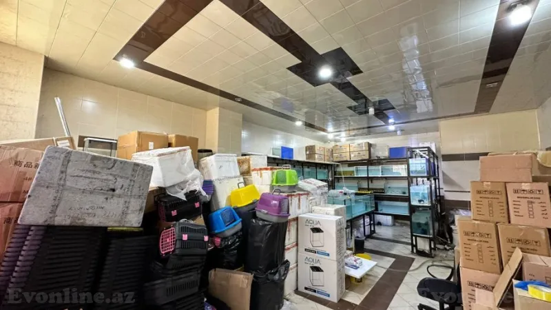 Satılır Obyekt 65 m² Neftçilər m.