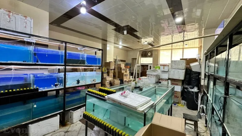 Satılır Obyekt 65 m² Neftçilər m. - şəkil 2