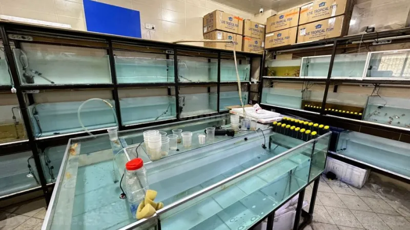 Satılır Obyekt 65 m² Neftçilər m. - şəkil 3