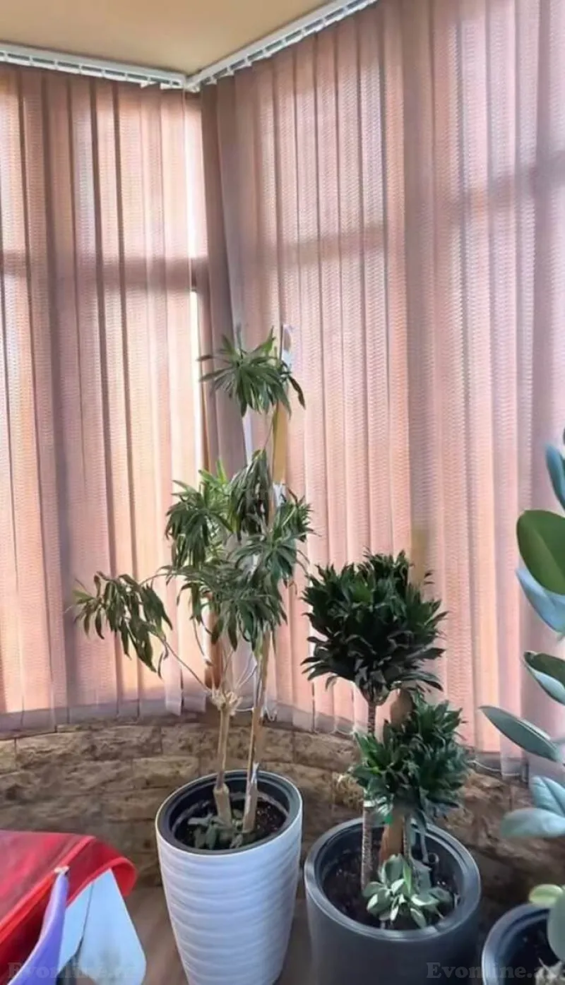 Satılır 3 otaqlı Mənzil Yeni tikili 165 m² 8 Noyabr m. - şəkil 12