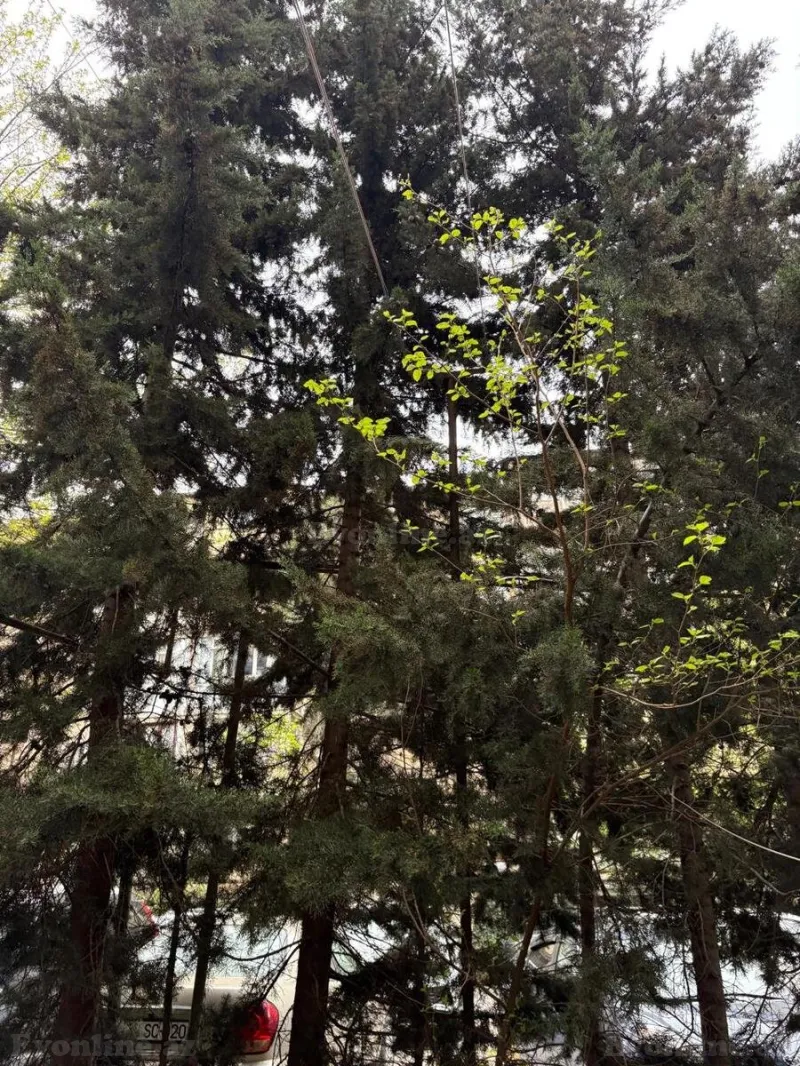 Satılır 2 otaqlı Mənzil Köhnə tikili 40 m² İnşaatçılar m. - şəkil 20