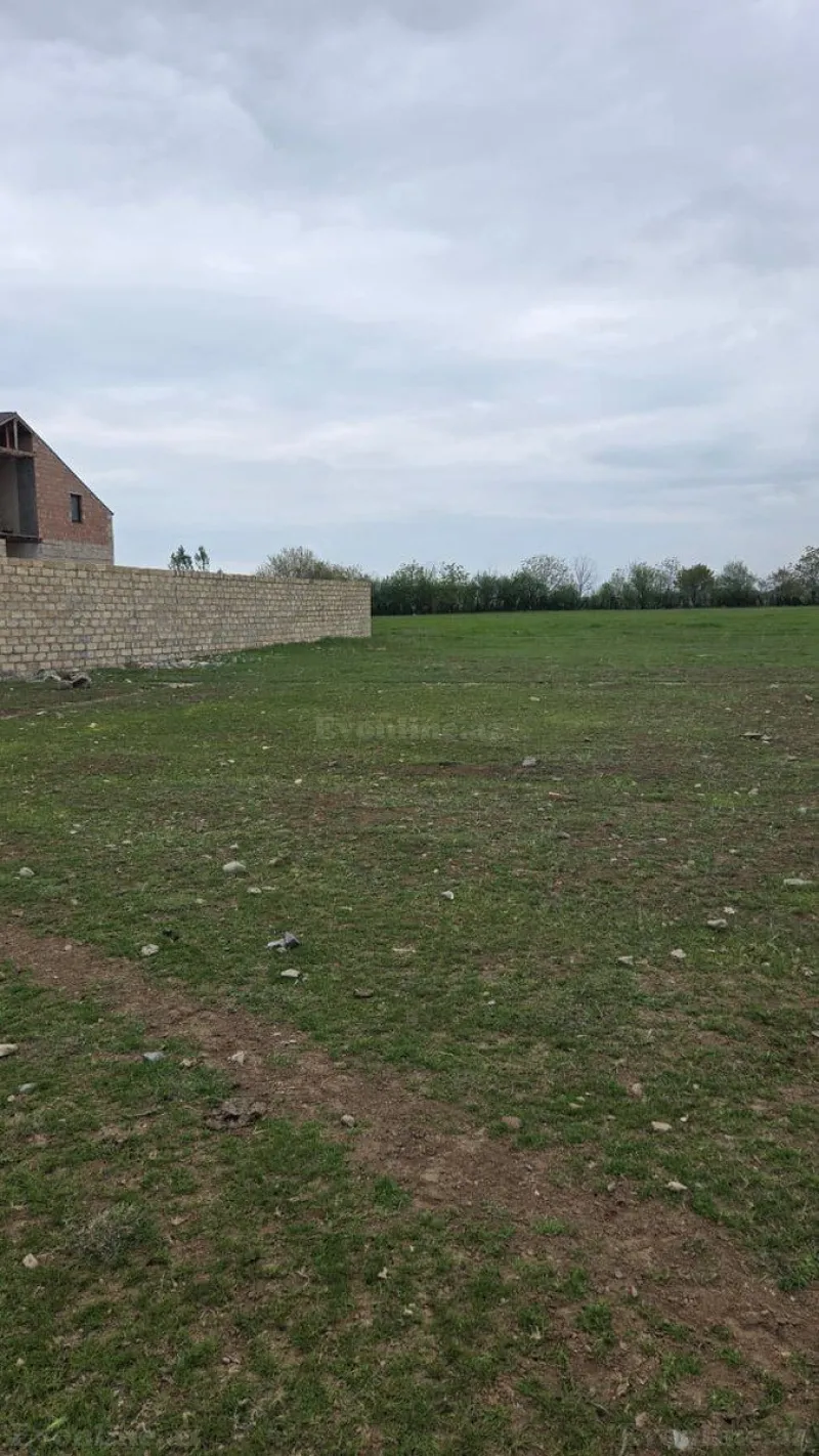 Satılır Torpaq 8 sot Gəncə - şəkil 2