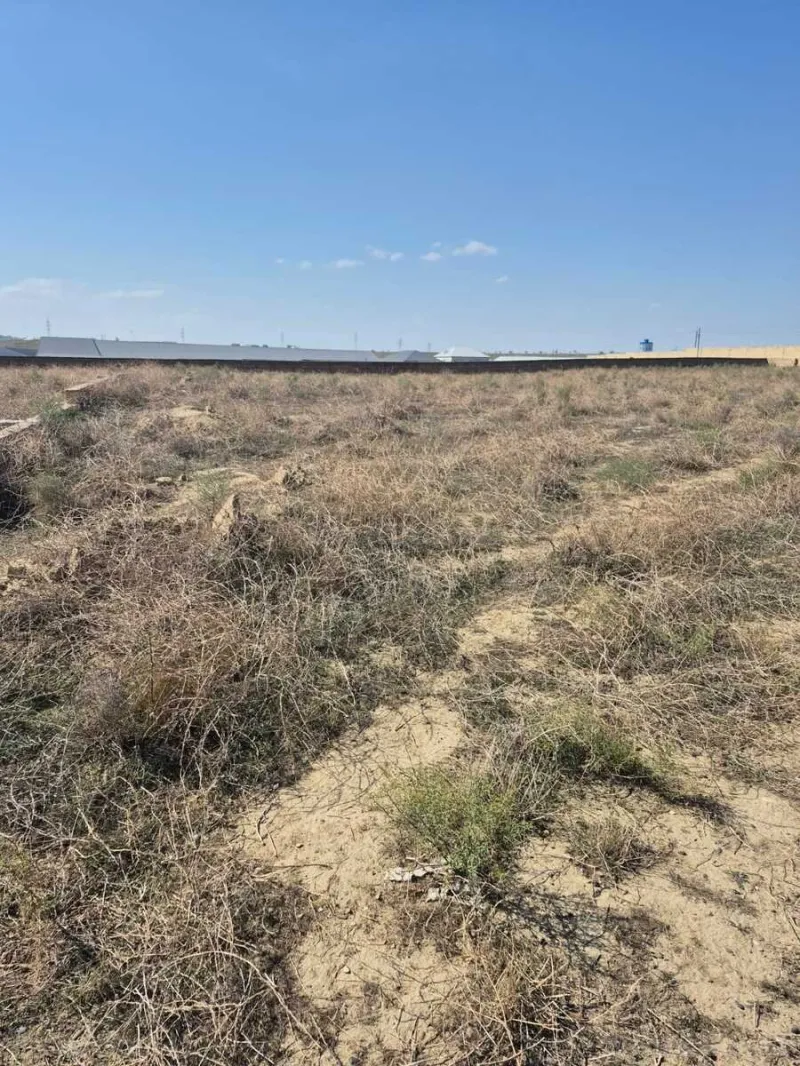 Satılır Torpaq 6 sot Masazır - şəkil 2