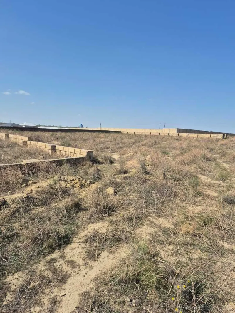 Satılır Torpaq 6 sot Masazır - şəkil 3