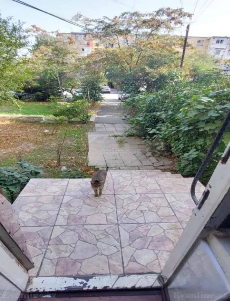Satılır 3 otaqlı Mənzil Köhnə tikili 75 m² Xalqlar Dostluğu m. - şəkil 13