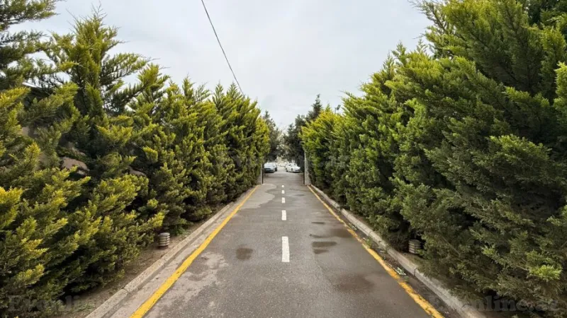 Torpaq Şüvəlan Satılır