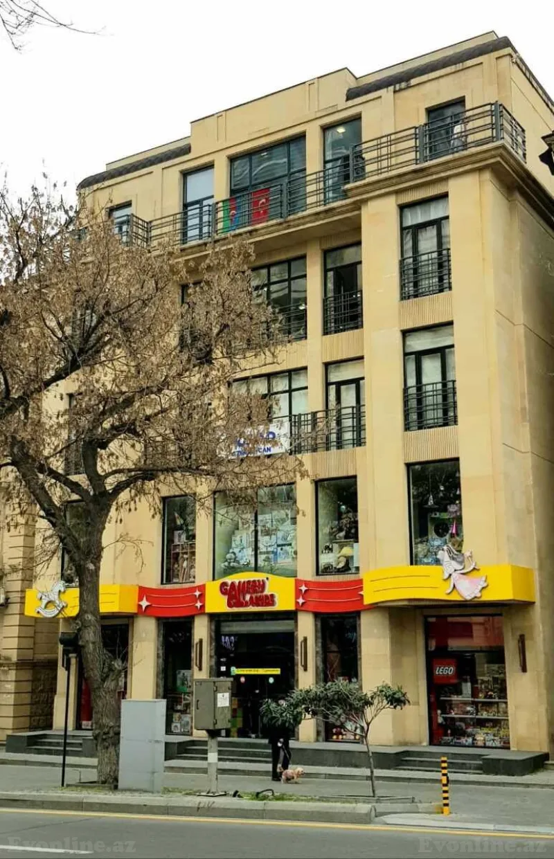 Obyekt 320 m² Nəsimi r. Kirayə verilir