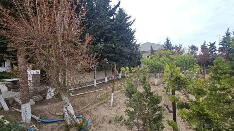 Satılır Torpaq 12 sot Görədil - şəkil 2