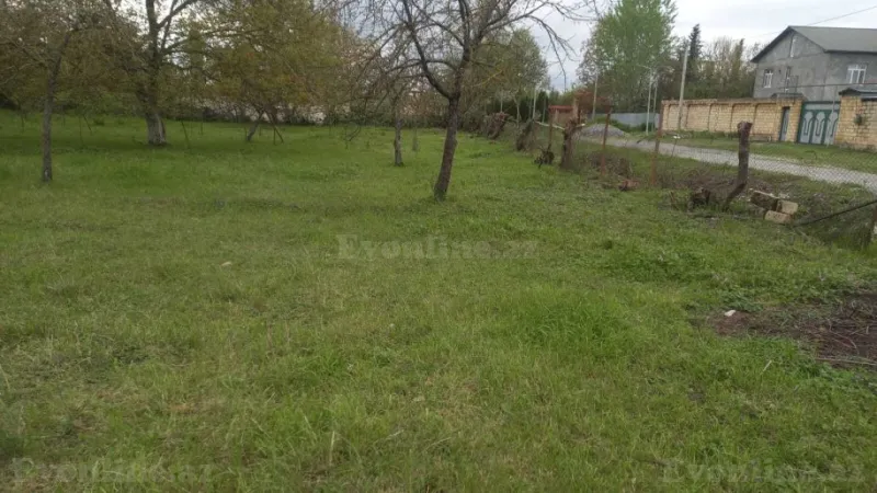 Satılır Torpaq 4 sot İsmayıllı - şəkil 2