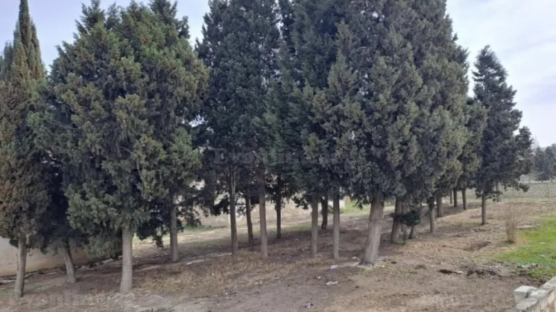 Satılır Torpaq 25 sot Sumqayıt - şəkil 2