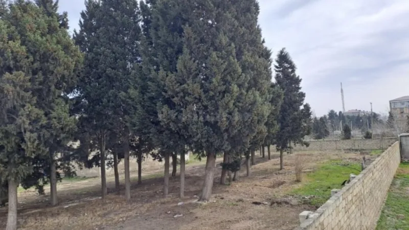 Satılır Torpaq 25 sot Sumqayıt - şəkil 5