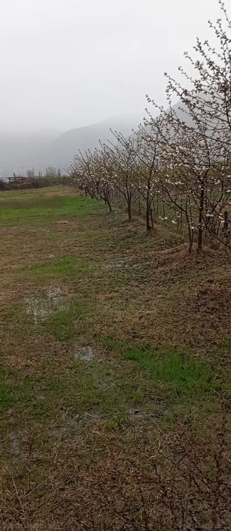 Satılır Torpaq 38 sot Şəki