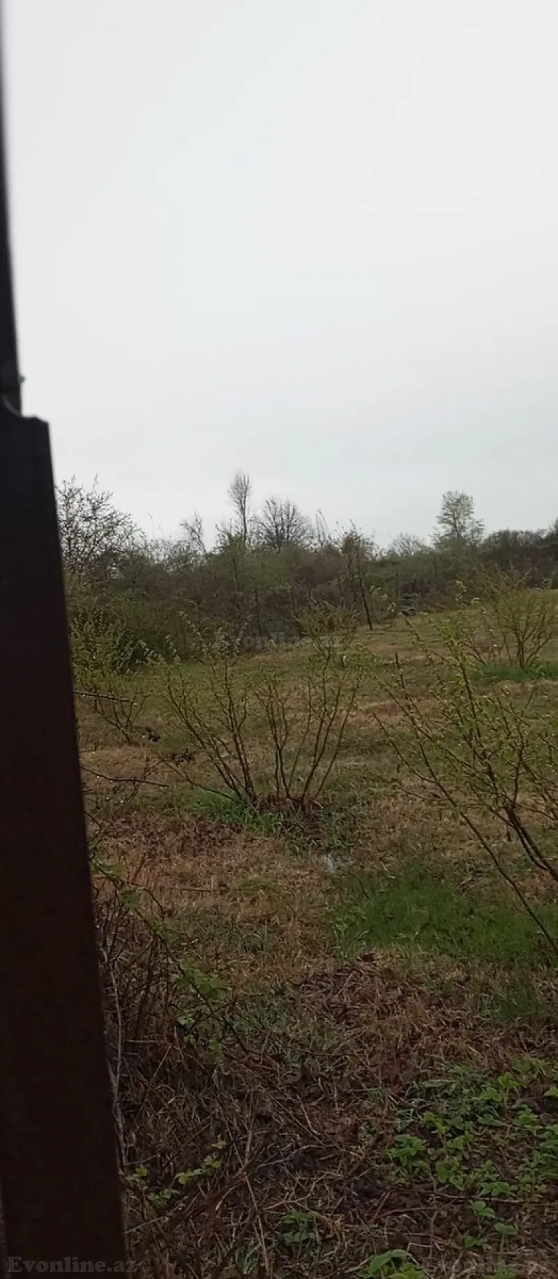Satılır Torpaq 38 sot Şəki - şəkil 2