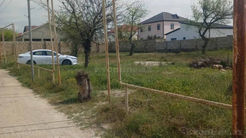 Satılır Torpaq 6 sot Türkan - şəkil 4