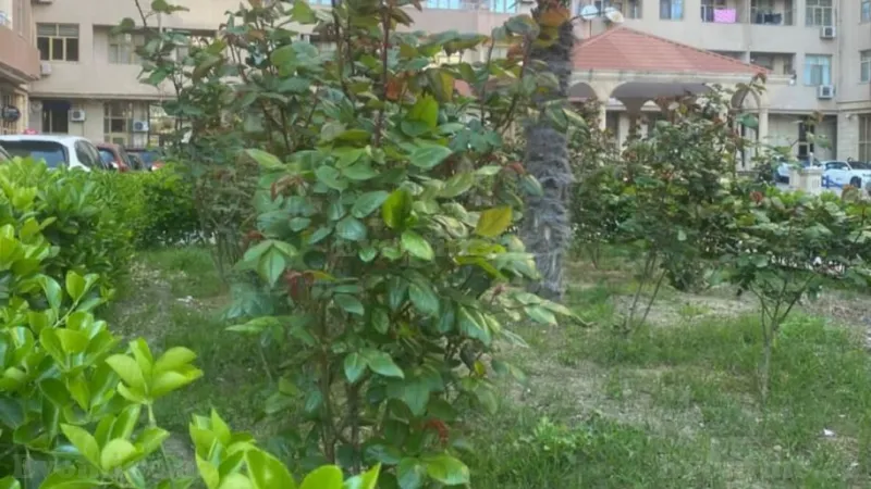 Satılır 4 otaqlı Mənzil Yeni tikili 200 m² 28 May m. - şəkil 25