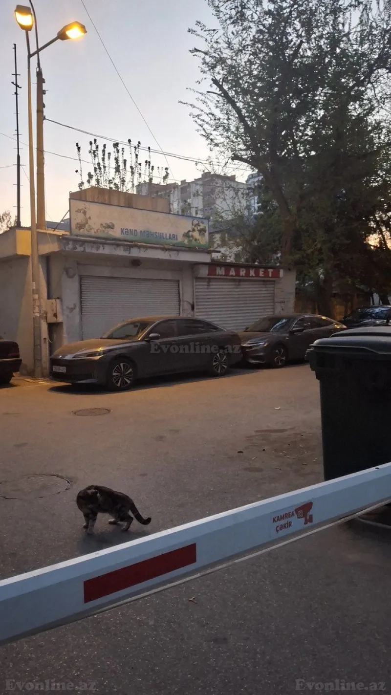 Satılır Obyekt 20 m² Nəriman Nərimanov m. - şəkil 2