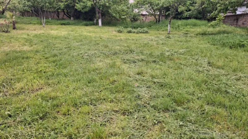 Satılır Torpaq 10 sot Qəbələ - şəkil 4