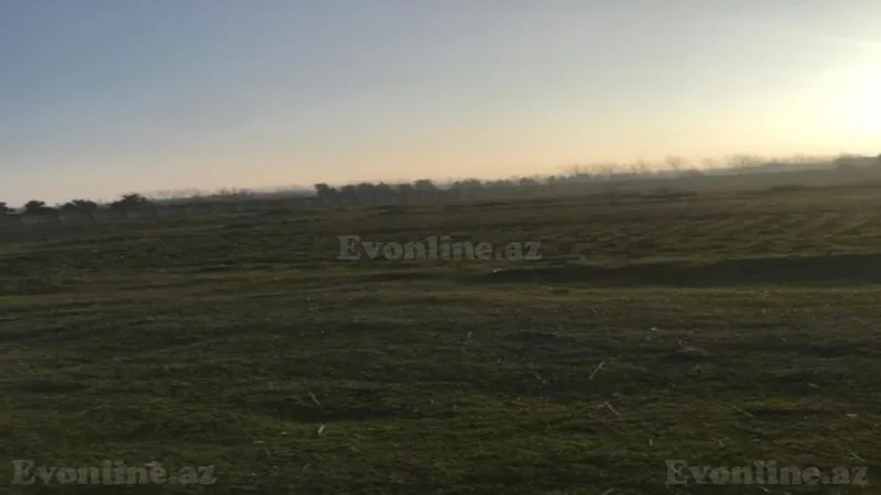 Satılır Torpaq 100 sot Xaçmaz - şəkil 2