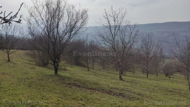 Satılır Torpaq 28 sot Quba - şəkil 3