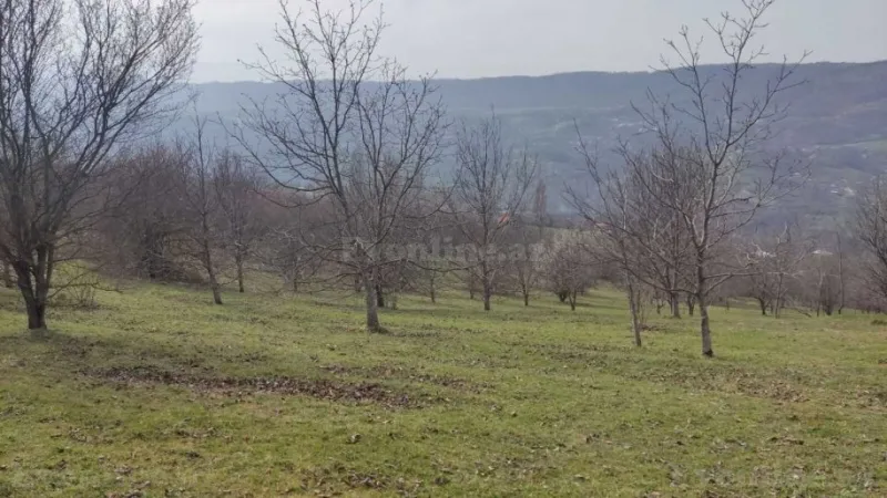 Satılır Torpaq 28 sot Quba - şəkil 6