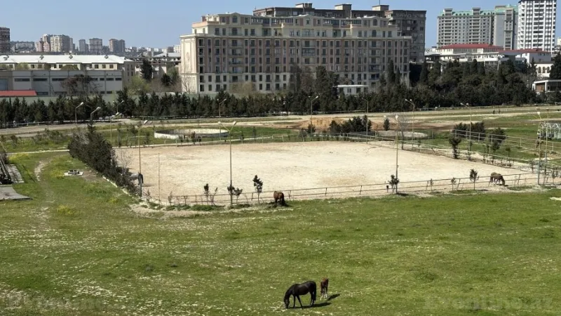 Kirayə verilir 4 otaqlı Mənzil Yeni tikili 140 m² Nərimanov r. - şəkil 14