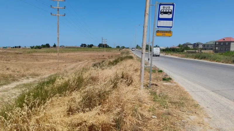 Torpaq Pirşağı Satılır