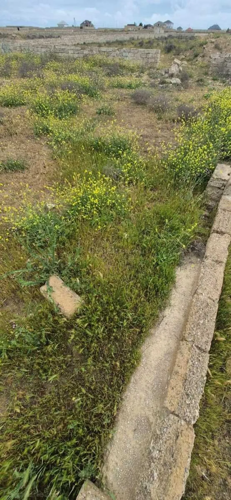 Torpaq Türkan Satılır