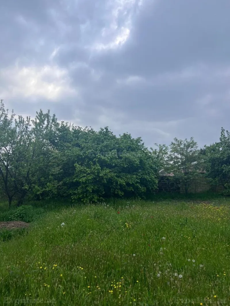 Satılır Torpaq 31 sot Gəncə - şəkil 6