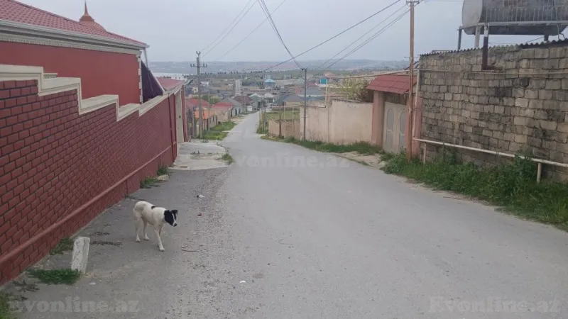 Satılır Torpaq 8 sot Novxanı - şəkil 10