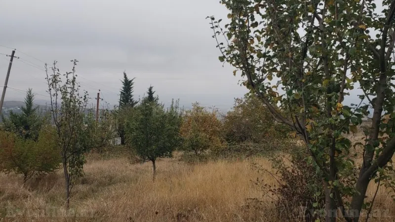 Satılır Torpaq 30 sot Şamaxı - şəkil 5