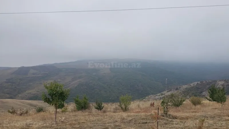 Satılır Torpaq 30 sot Şamaxı - şəkil 9