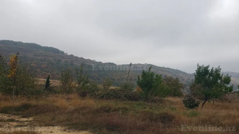Satılır Torpaq 30 sot Şamaxı - şəkil 13