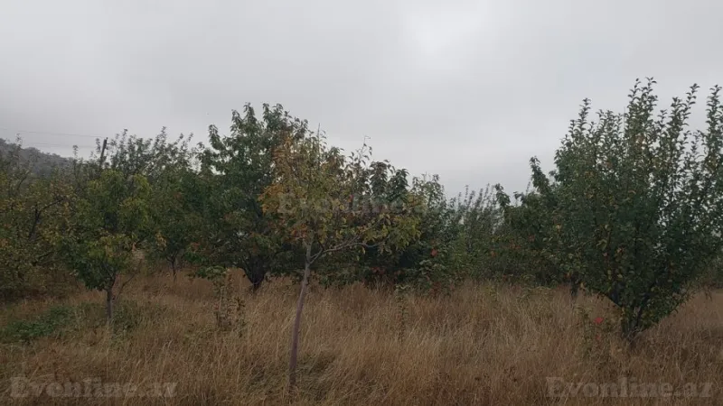 Satılır Torpaq 30 sot Şamaxı - şəkil 16