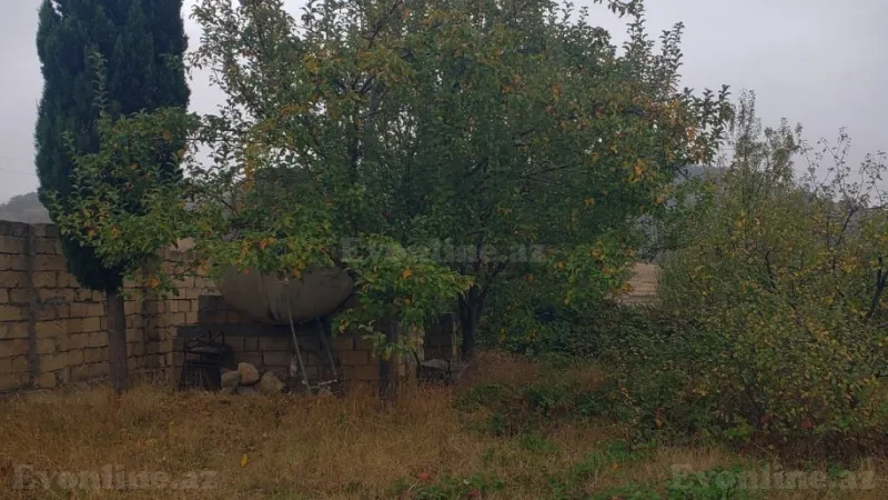 Satılır Torpaq 30 sot Şamaxı - şəkil 17