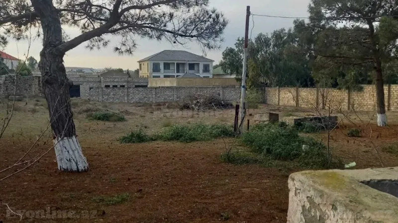 Torpaq Şüvəlan Satılır