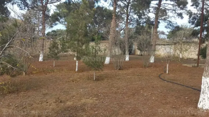 Satılır Torpaq 25 sot Şüvəlan - şəkil 2