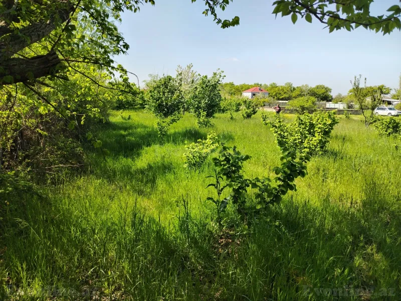 Satılır Torpaq 10 sot Xaçmaz - şəkil 5