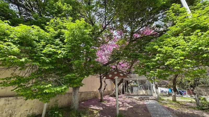 4 otaqlı Mənzil 127.7 m² Badamdar Satılır