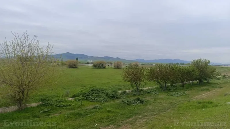 Satılır Torpaq 55 sot Ağstafa