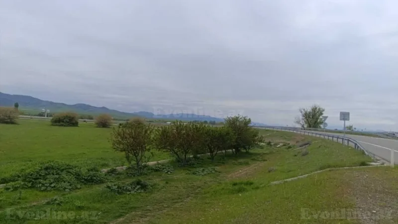 Satılır Torpaq 55 sot Ağstafa - şəkil 2