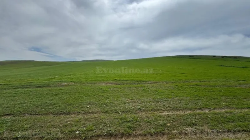 Satılır Torpaq 9 sot Qaradağ r. - şəkil 2