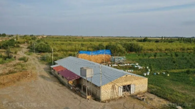 Satılır Obyekt 20000 m² Quba - şəkil 2