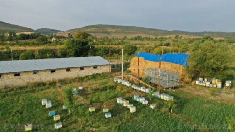 Satılır Obyekt 20000 m² Quba - şəkil 3