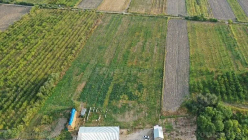 Satılır Obyekt 20000 m² Quba - şəkil 5