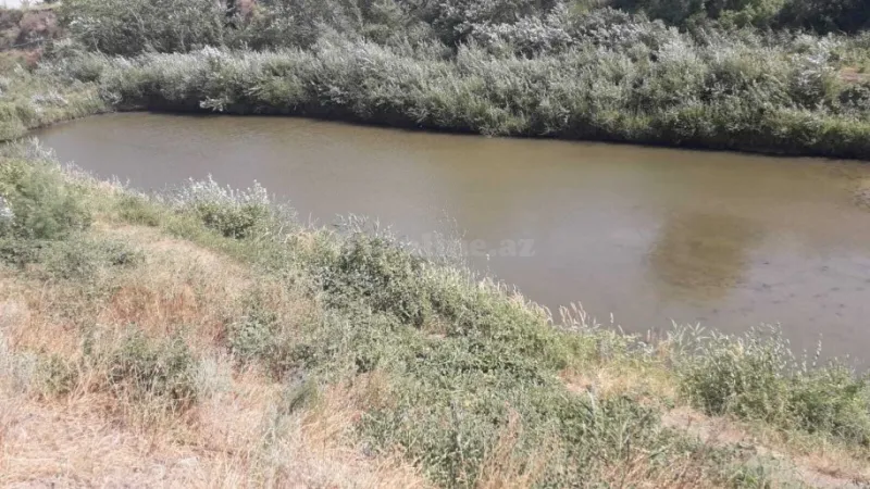 Satılır Obyekt 20000 m² Quba - şəkil 16