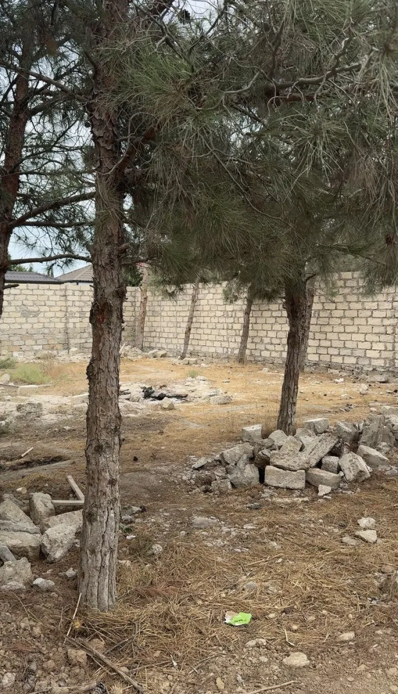 Torpaq Şağan Satılır